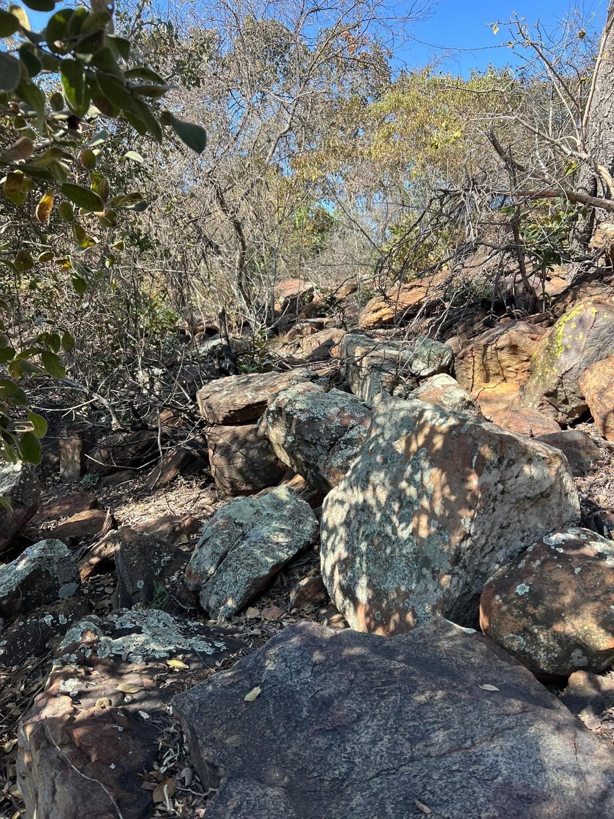Lichen-covered boulders stacked through bushveld